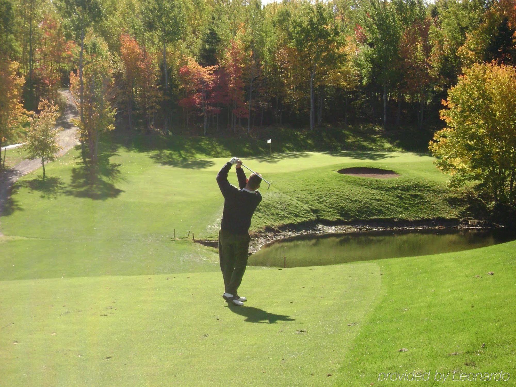 Comfort Inn Thetford Mines Servizi foto
